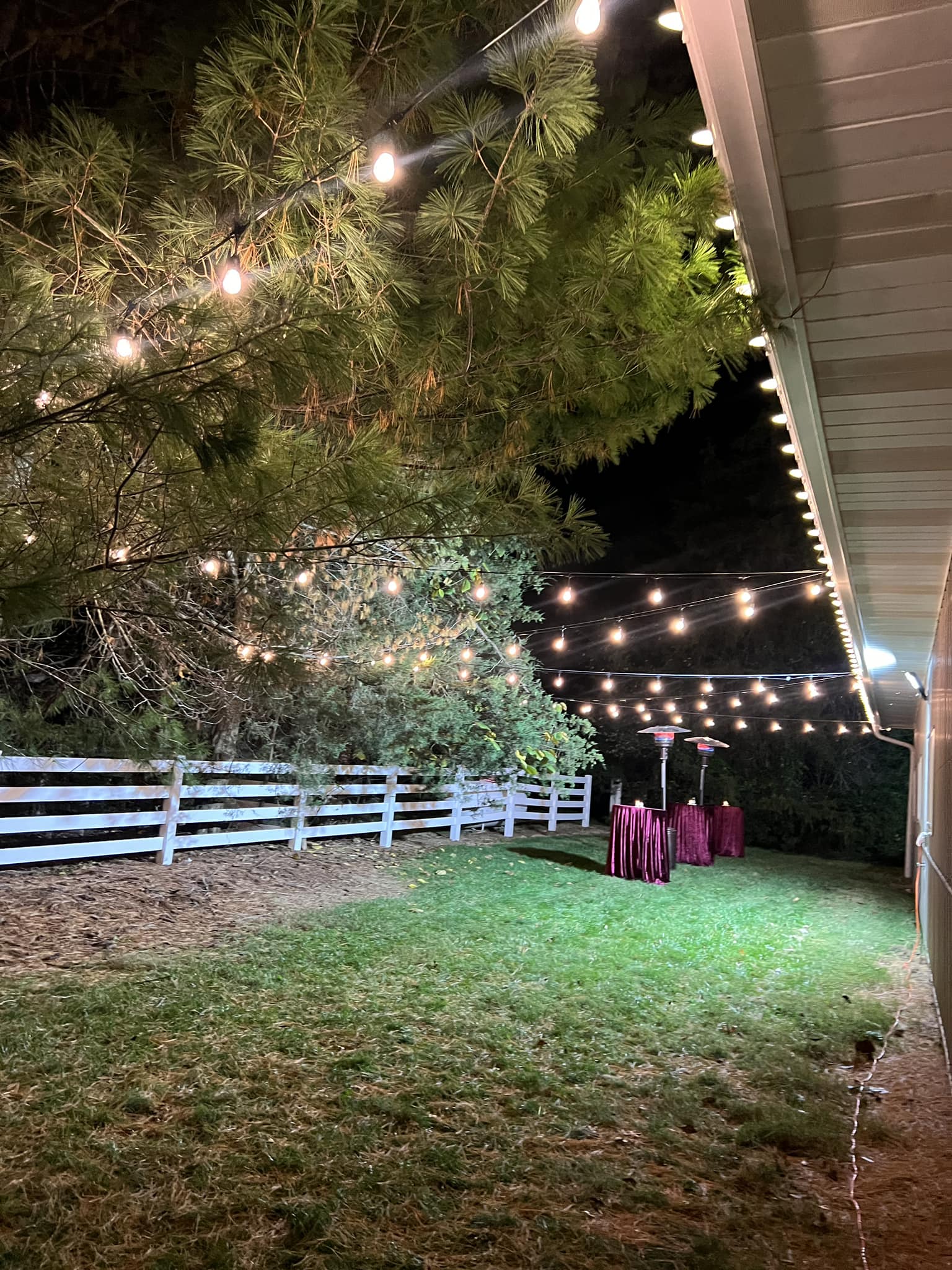 Backyard Lighting