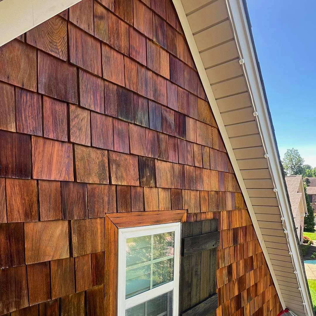 cedar
