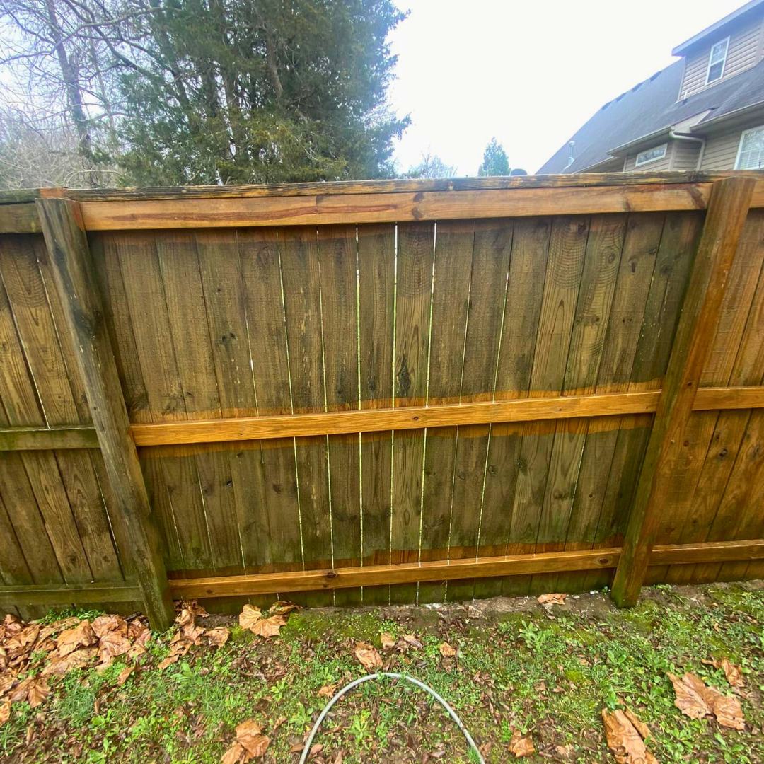 fence