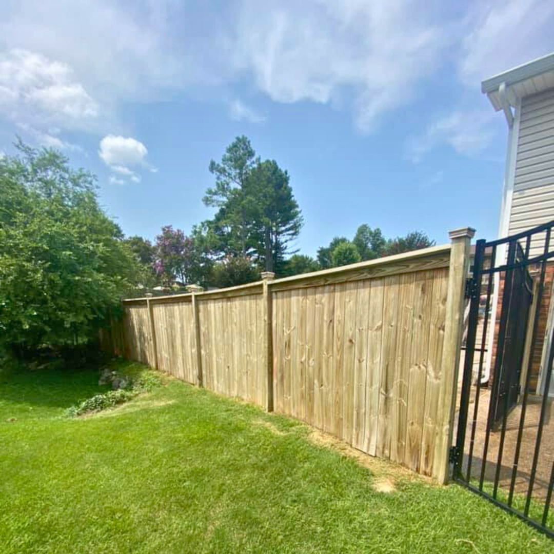 fence