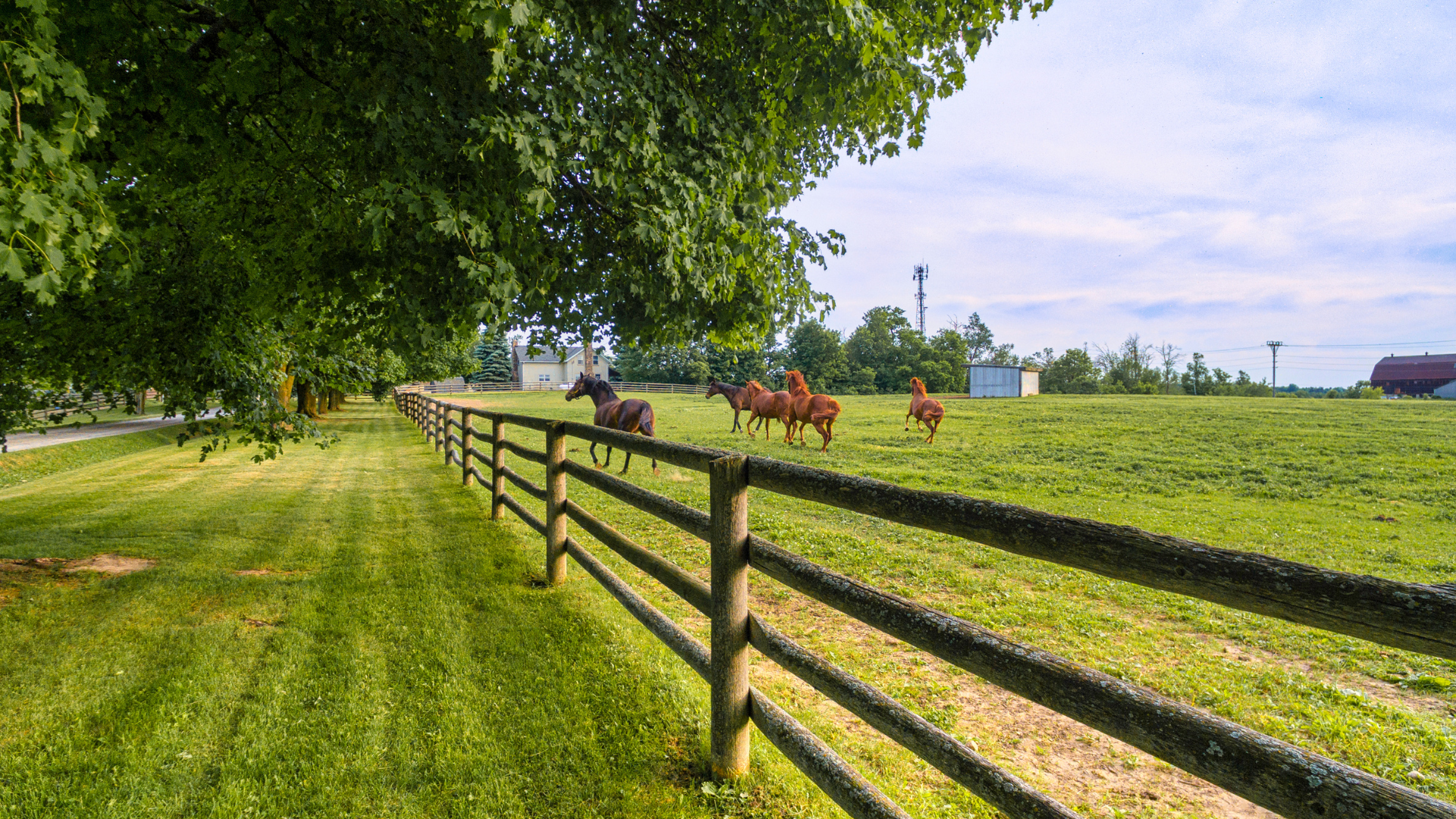 Farm Fence Painting
