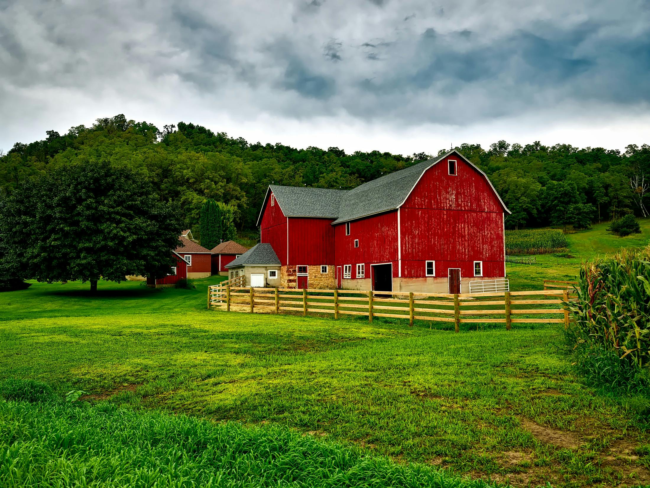 Farm Fence Painting