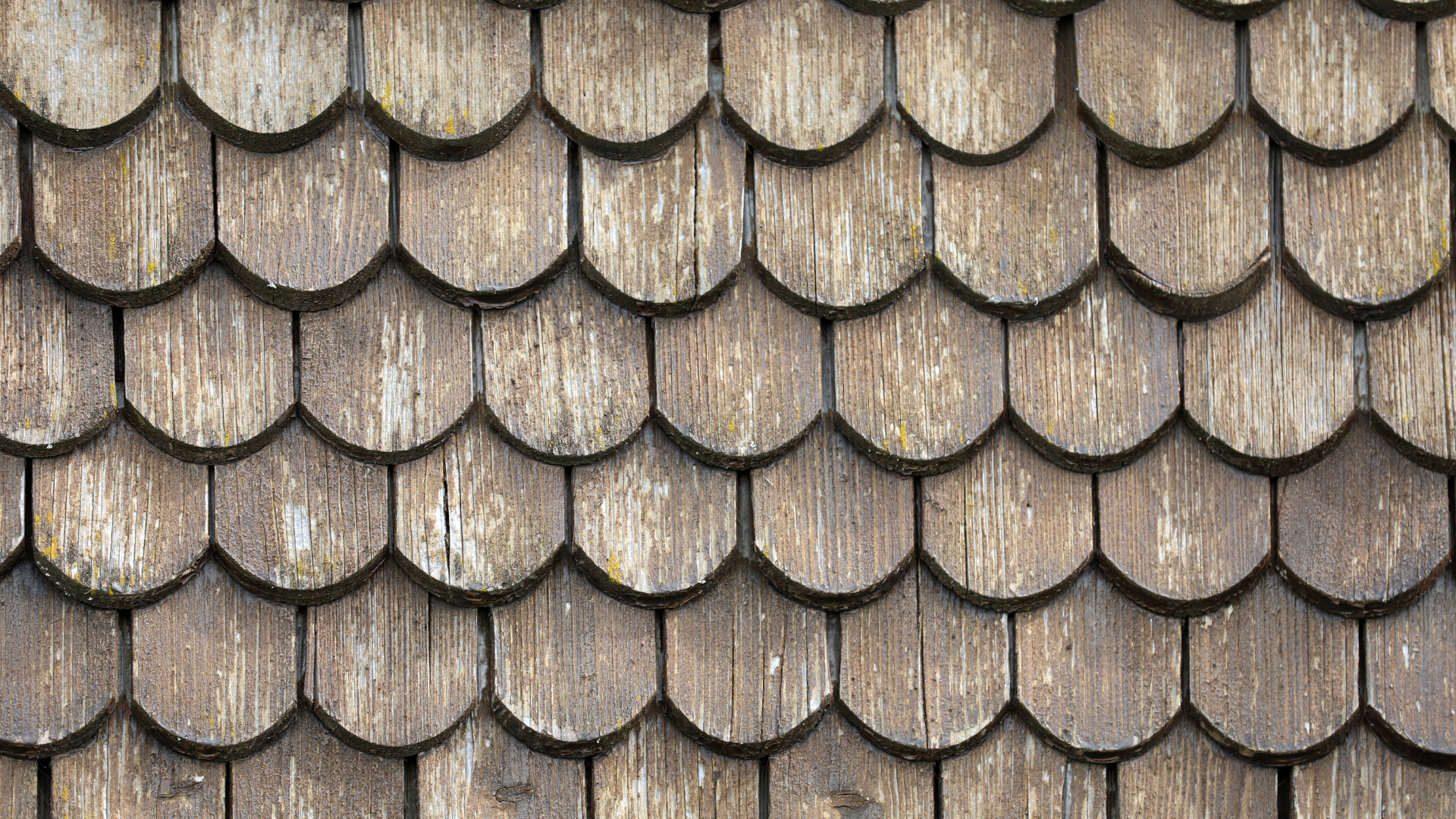 Cedar Shake Restoration