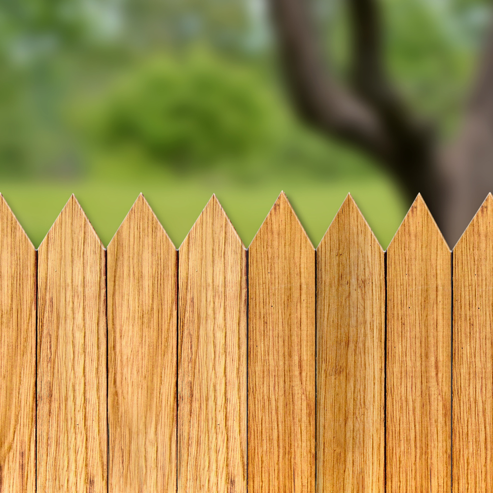 Fence Staining in Nashville, TN